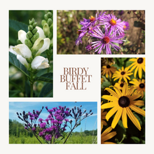 Load image into Gallery viewer, Native Seed Shaker- Birdy Buffet