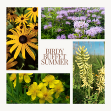 Load image into Gallery viewer, Native Seed Shaker- Birdy Buffet