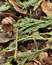 Load image into Gallery viewer, Forest Path Potpourri