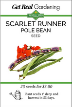 Load image into Gallery viewer, Scarlet Runner Pole Bean Seeds