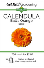 Load image into Gallery viewer, Calendula Ball's Orange Seeds