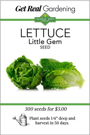 Little Gem Lettuce Seeds- Organic