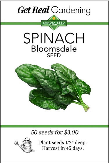 Bloomsdale Spinach Seeds- Organic
