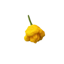 Load image into Gallery viewer, Yellow Scotch Bonnet Pepper Seeds