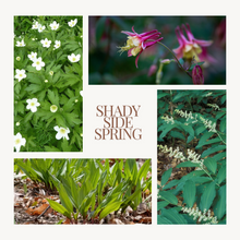 Load image into Gallery viewer, Native Seed Shaker- Shady Side