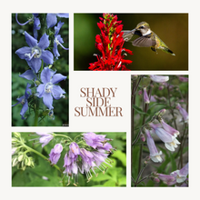 Load image into Gallery viewer, Native Seed Shaker- Shady Side
