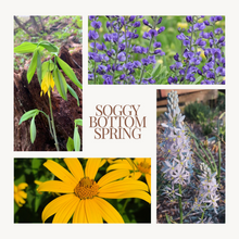 Load image into Gallery viewer, Native Seed Shaker- Soggy Bottom