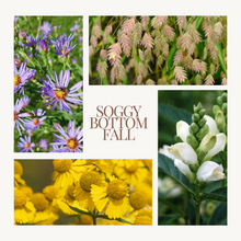 Load image into Gallery viewer, Native Seed Shaker- Soggy Bottom