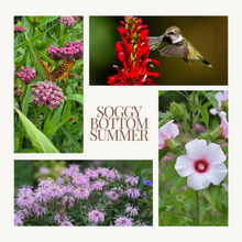 Load image into Gallery viewer, Native Seed Shaker- Soggy Bottom