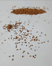 Load image into Gallery viewer, Sarracenia Seeds Mystery Mix