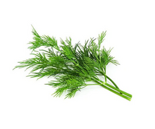 Load image into Gallery viewer, Dill 'Bouquet' Seeds