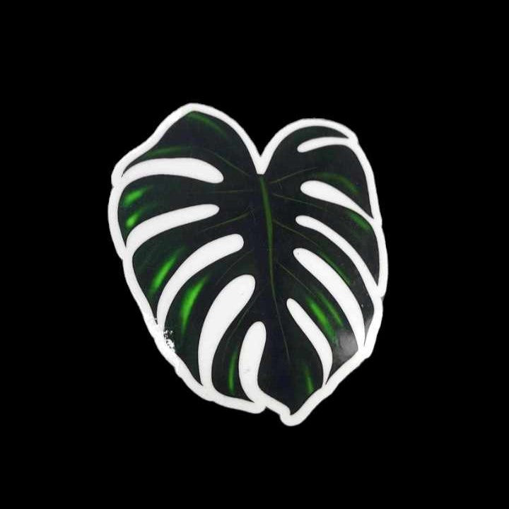 Monstera Sticker  Cedar Bridge Botanicals