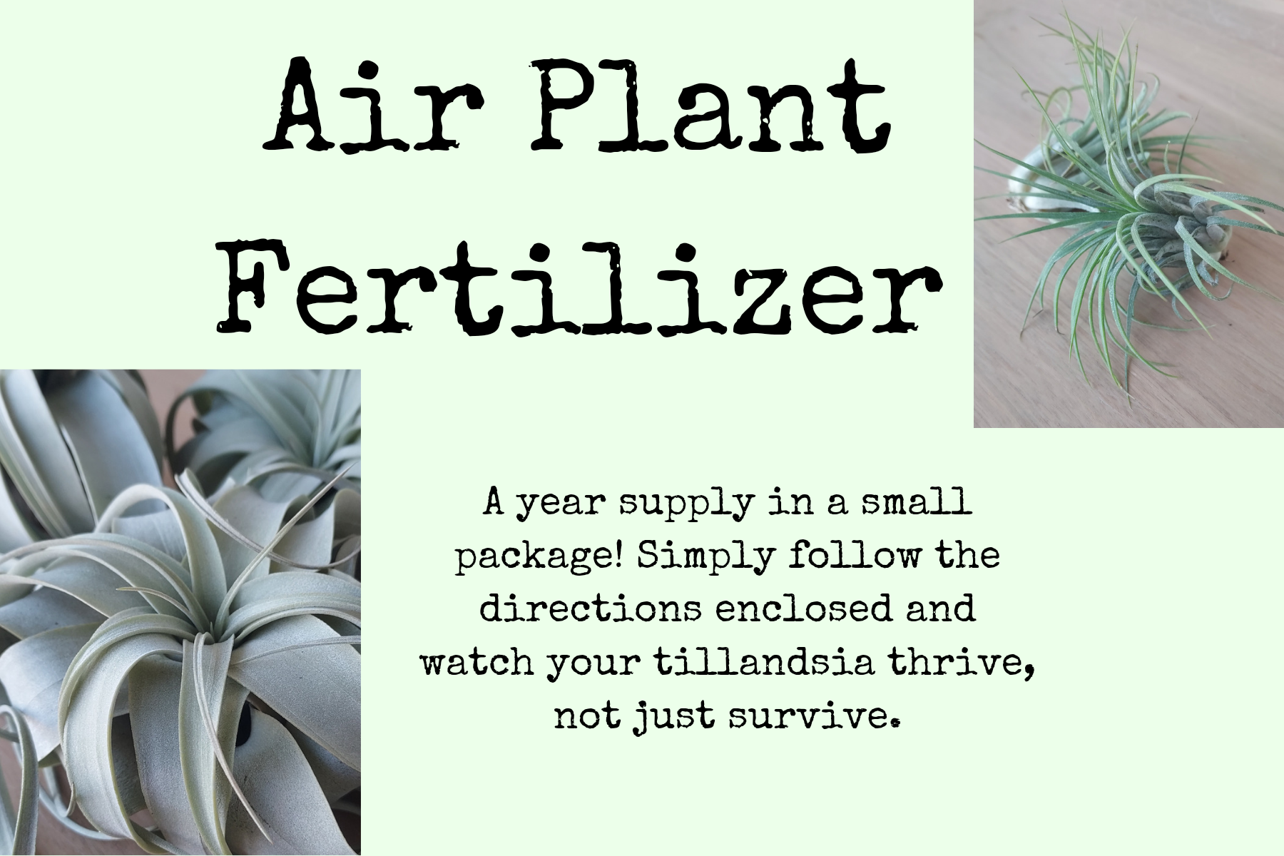 Air Plant Fertilizer – Cedar Bridge Botanicals