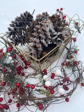 Load image into Gallery viewer, Pine Cone Fire Starters