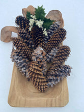 Load image into Gallery viewer, Pine Cone Fire Starters