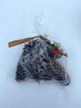 Load image into Gallery viewer, Pine Cone Fire Starters