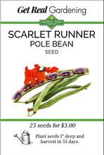 Load image into Gallery viewer, Scarlet Runner Pole Bean Seeds
