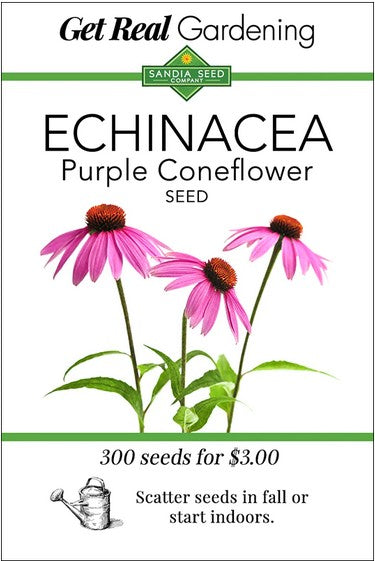 Echinacea- Purple Cone Flower Seeds- Organic