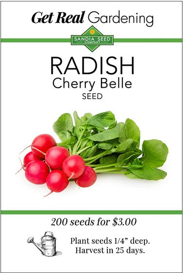 Cherry Belle Radish Seeds- Organic
