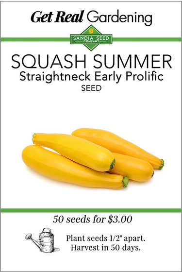 Early Summer Straightneck Squash- Organic