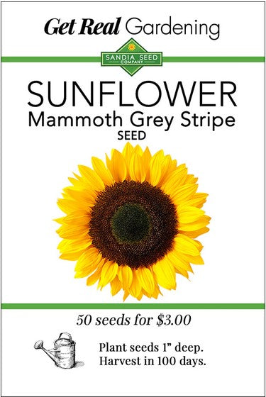 Grey Stripe Sunflower Seeds- Organic