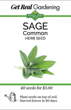 Load image into Gallery viewer, Garden Sage Seeds

