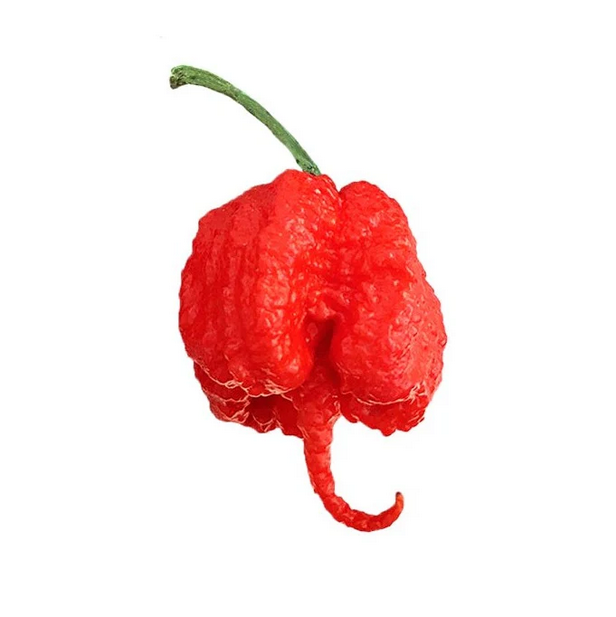 Carolina Reaper Pepper Seeds