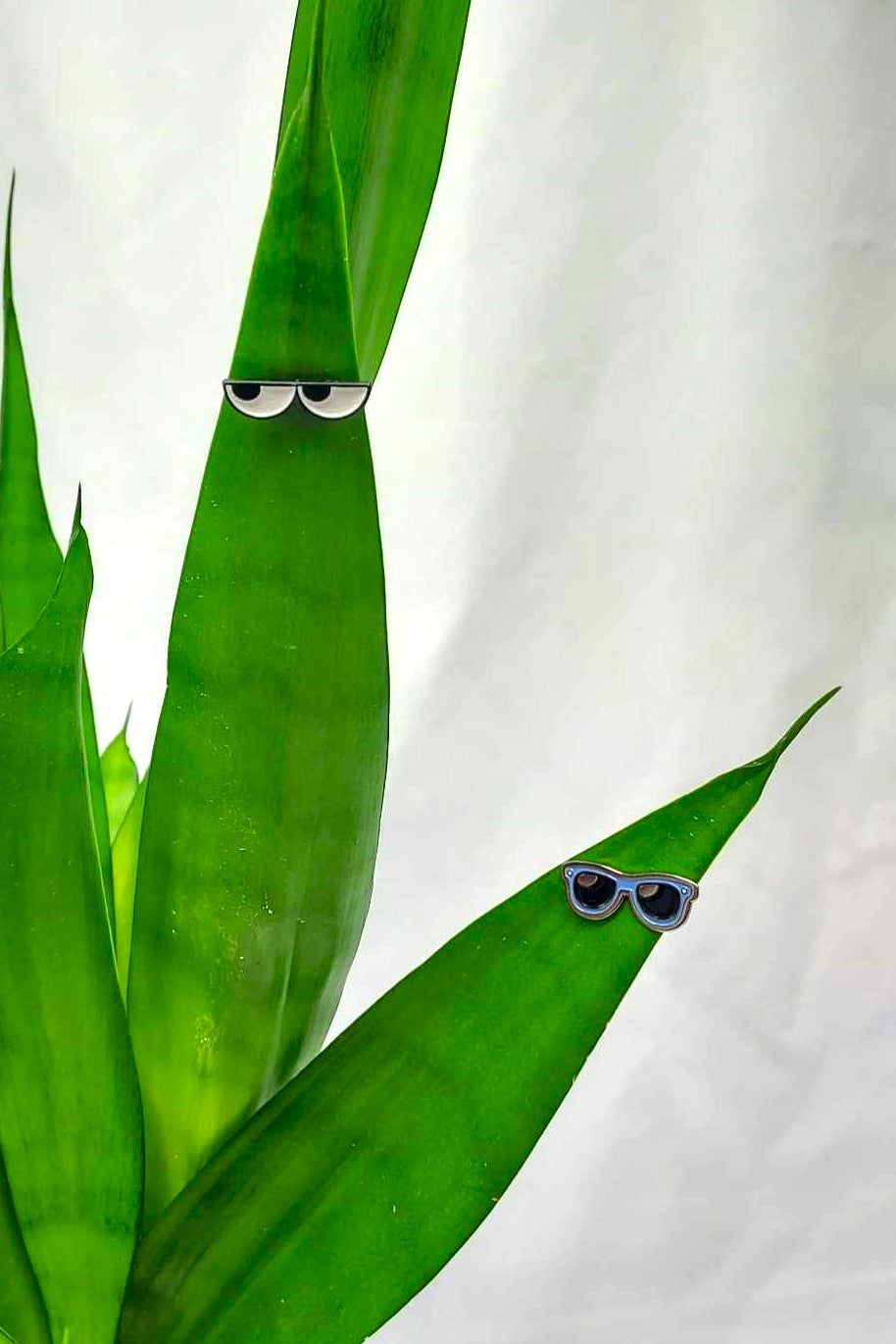Magnetic Plant Charm Set- Sunglasses – Cedar Bridge Botanicals