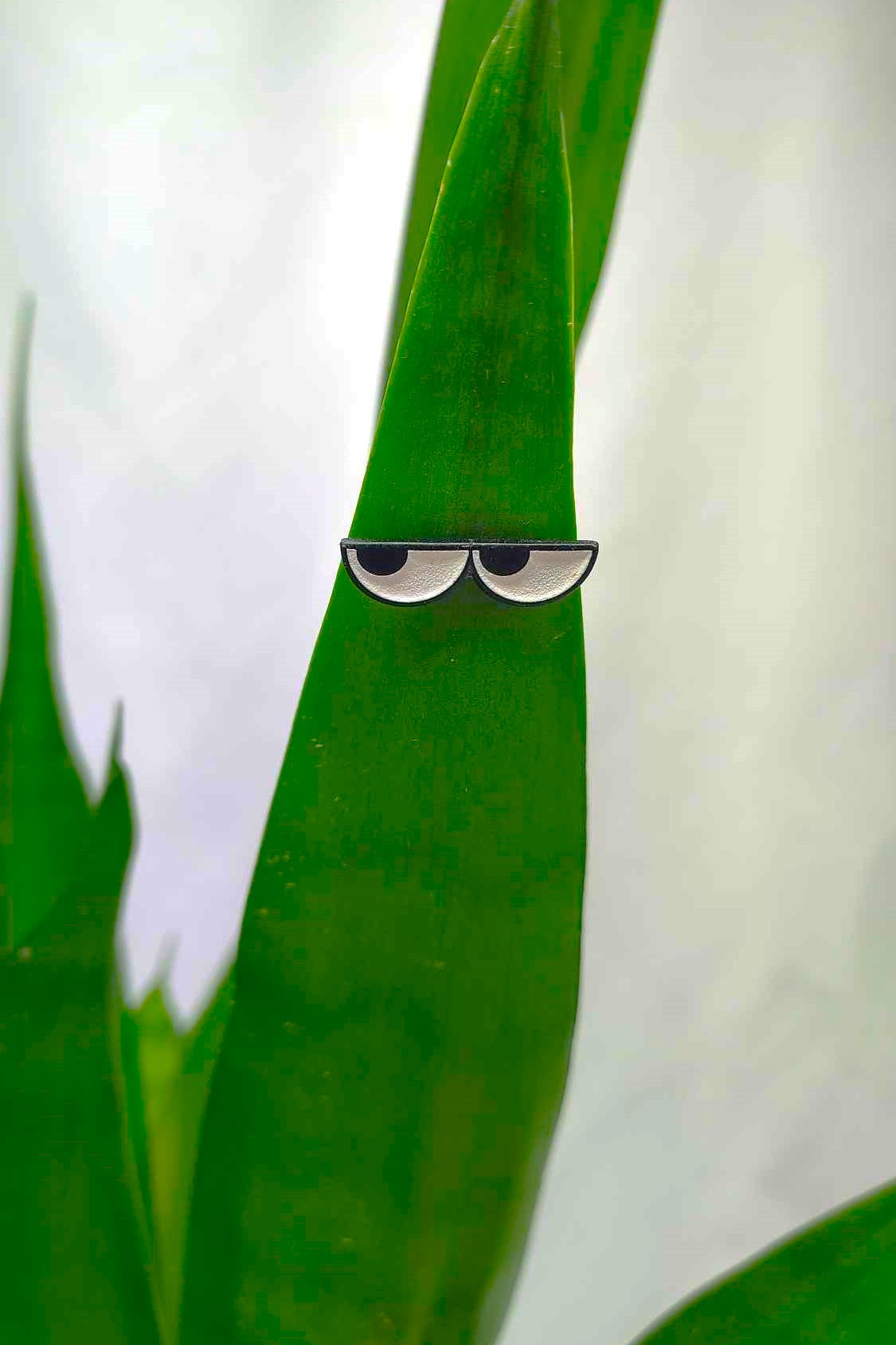 Magnetic Plant Charm Set- Sunglasses – Cedar Bridge Botanicals Magnetic Plant Charm Set- Sunglasses – Cedar Bridge Botanicals