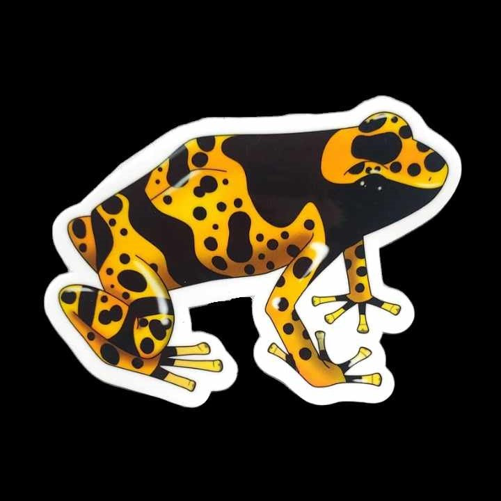 Bumblebee Dart Frog Sticker