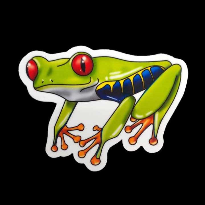 Red Eyed Tree Frog Sticker