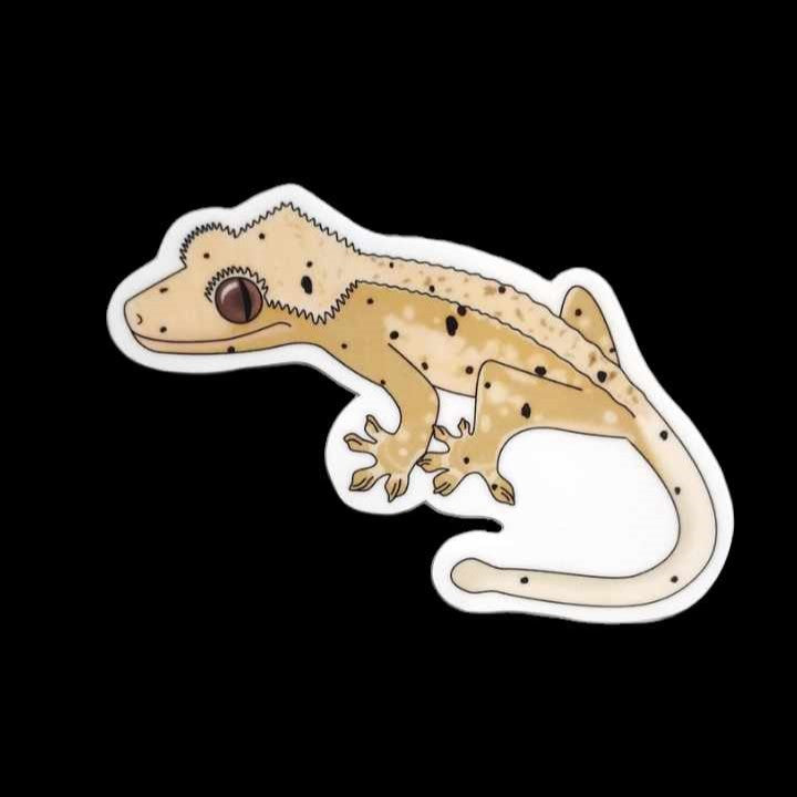 Crested gecko decal best sale