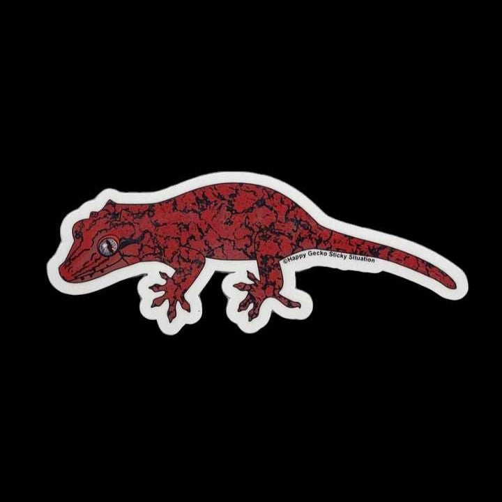 Gargoyle Gecko Sicker – Cedar Bridge Botanicals