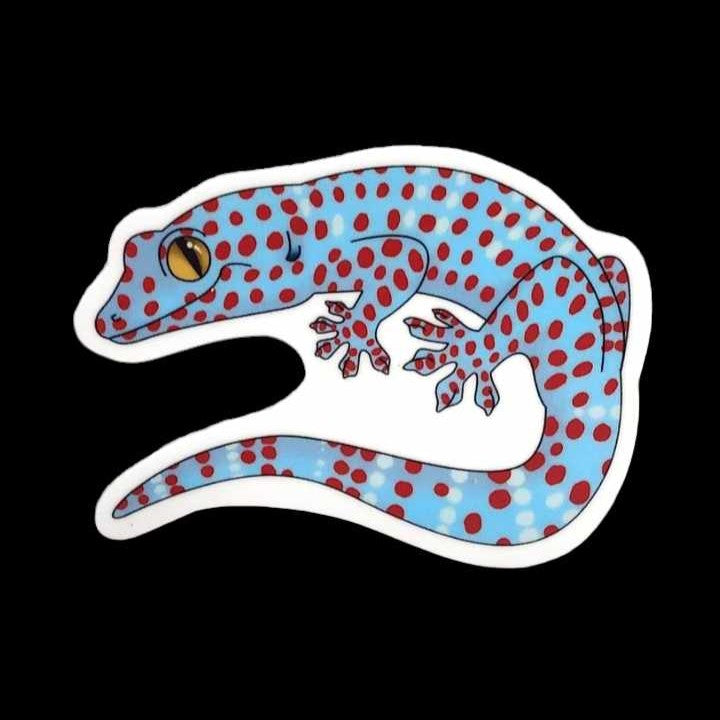 Tokay Gecko Sticker