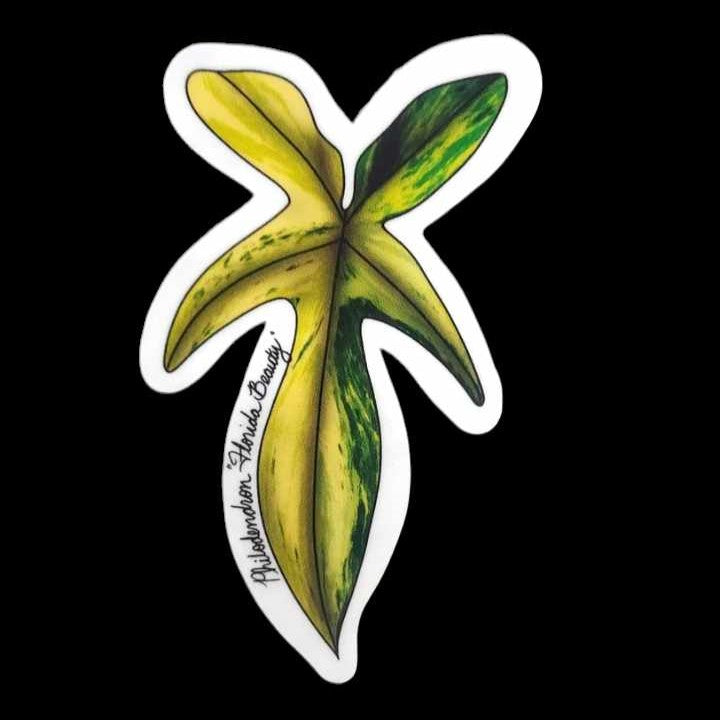 Philodendron Florida Beauty Sticker