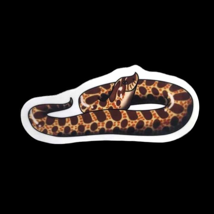 Hognose Snake Sticker