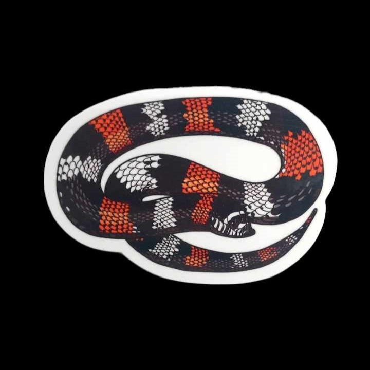 Tricolor Hognose Snake Sticker