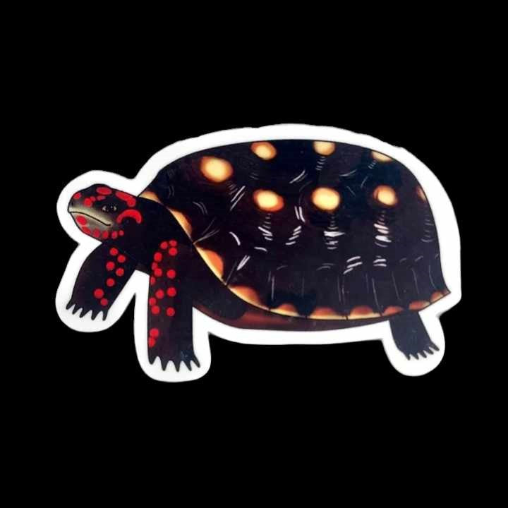 Red Footed Tortoise Sticker