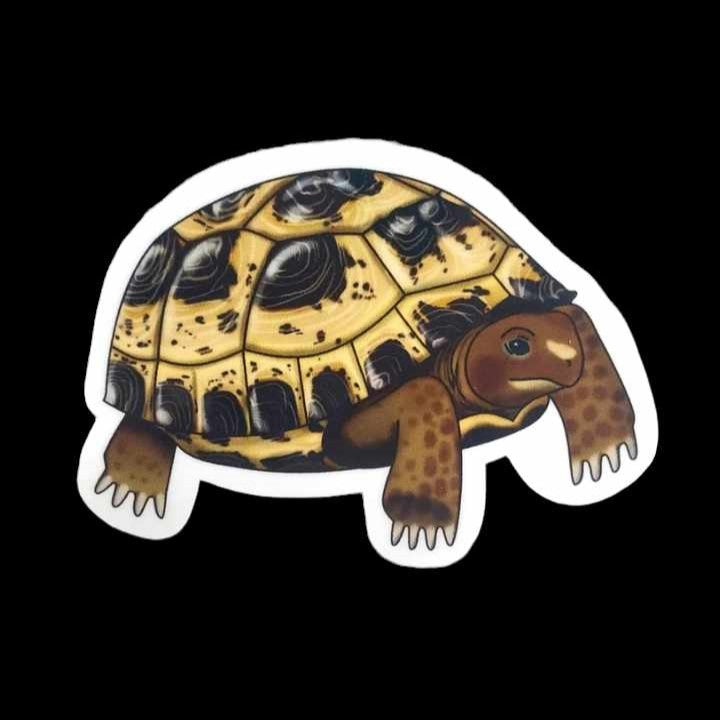 Russian Tortoise Sticker
