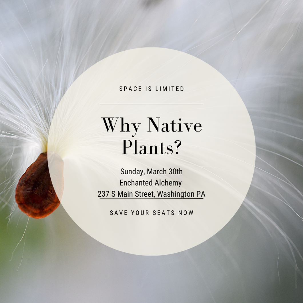 Why Native Plants? March 30th