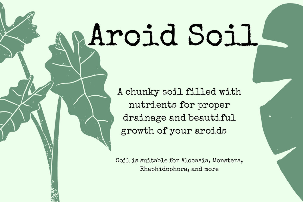 Aroid Soil