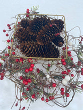 Load image into Gallery viewer, Pine Cone Fire Starters
